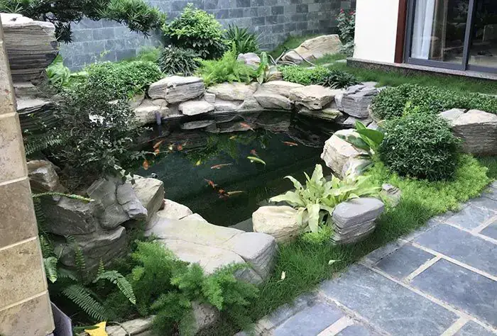 hồ cá koi đơn giản