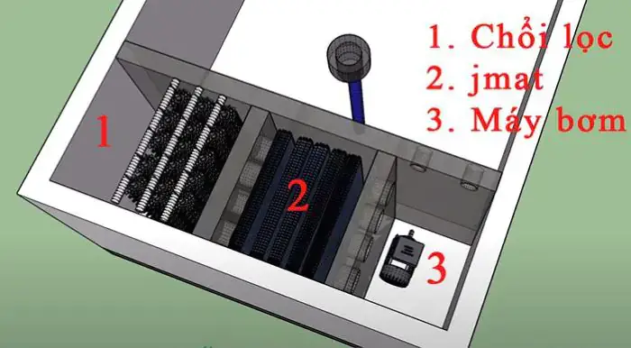 hồ cá koi đơn giản