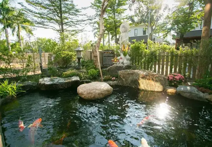 Tất Tần Tật Về Hồ Cá Koi Hiện Đại: Từ Ý Tưởng Đến Thực Thi