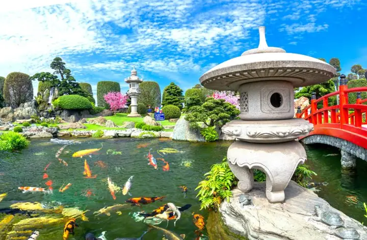 Hồ Cá Koi Hóc Môn: Hướng Dẫn Tham Quan RinRin Park Chi Tiết