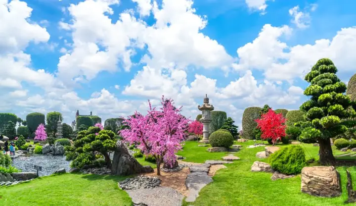 Hồ Cá Koi Hóc Môn: Hướng Dẫn Tham Quan RinRin Park Chi Tiết
