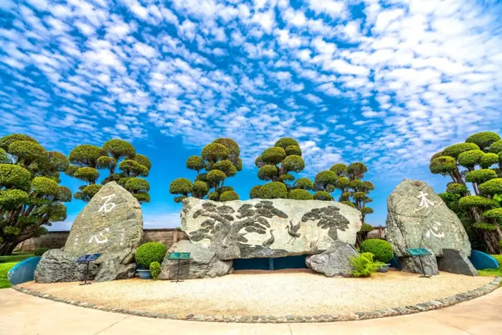 Hồ Cá Koi Hóc Môn: Hướng Dẫn Tham Quan RinRin Park Chi Tiết