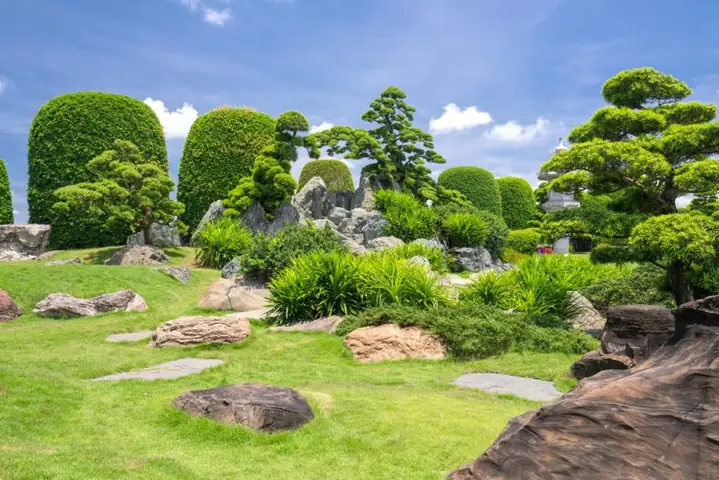 Hồ Cá Koi Hóc Môn: Hướng Dẫn Tham Quan RinRin Park Chi Tiết