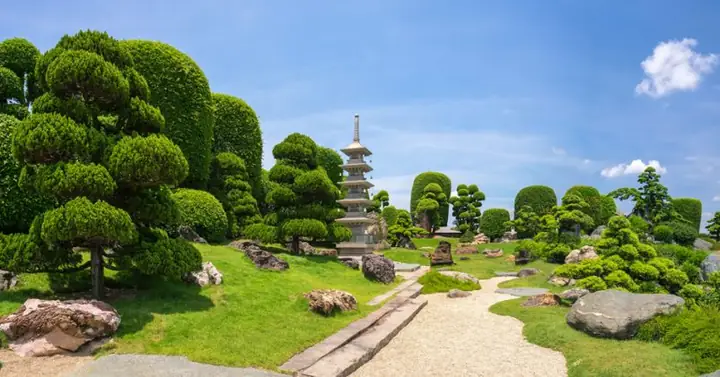 Hồ Cá Koi Hóc Môn: Hướng Dẫn Tham Quan RinRin Park Chi Tiết