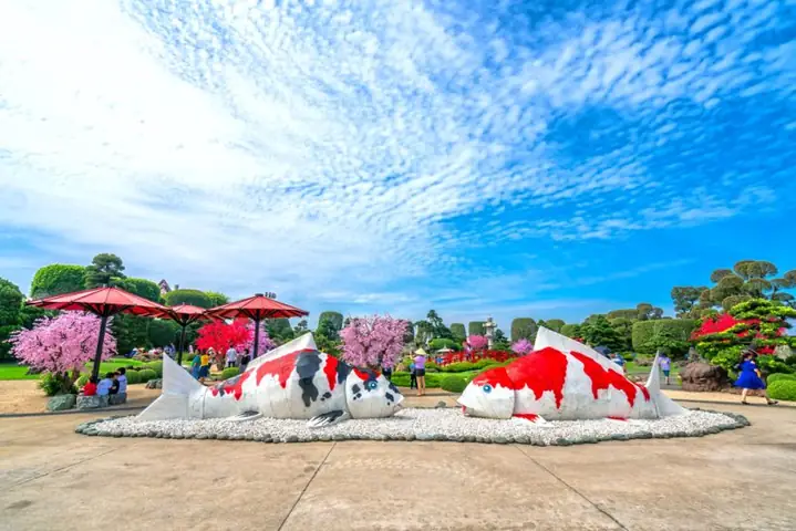 Hồ Cá Koi Hóc Môn: Hướng Dẫn Tham Quan RinRin Park Chi Tiết