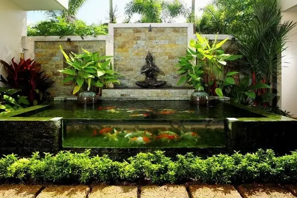 Hồ cá Koi mini bằng kính: Hướng dẫn thiết kế và chăm sóc