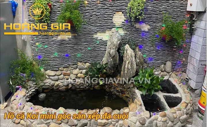 Hồ Cá Koi Mini Góc Sân: Từ A Đến Z Cẩm Nang Thiết Kế và Chăm Sóc