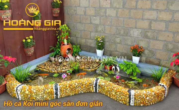 Hồ Cá Koi Mini Góc Sân: Từ A Đến Z Cẩm Nang Thiết Kế và Chăm Sóc