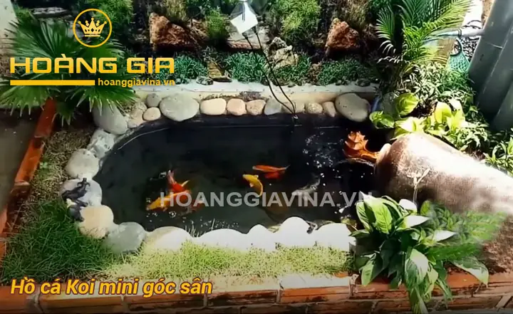 Hồ Cá Koi Mini Góc Sân: Từ A Đến Z Cẩm Nang Thiết Kế và Chăm Sóc