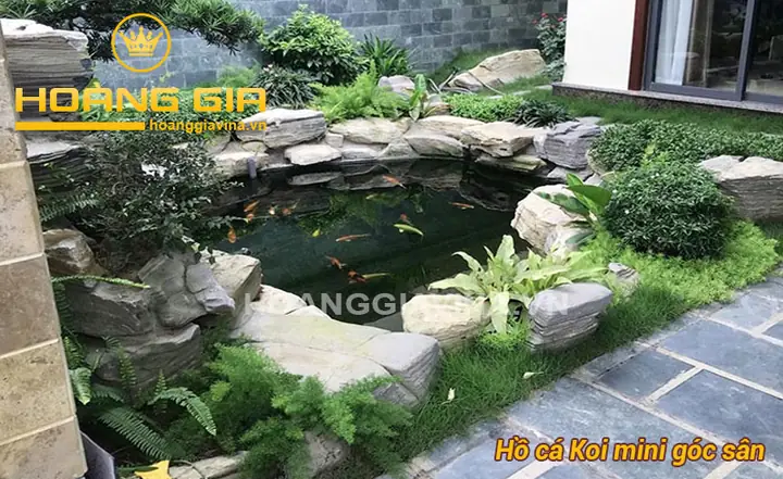 Hồ Cá Koi Mini Góc Sân: Từ A Đến Z Cẩm Nang Thiết Kế và Chăm Sóc
