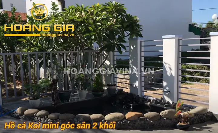 Hồ Cá Koi Mini Góc Sân: Từ A Đến Z Cẩm Nang Thiết Kế và Chăm Sóc