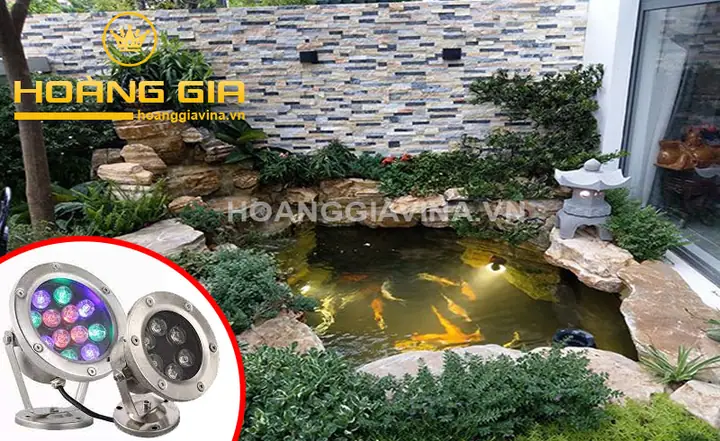 Hồ Cá Koi Mini Góc Sân: Từ A Đến Z Cẩm Nang Thiết Kế và Chăm Sóc
