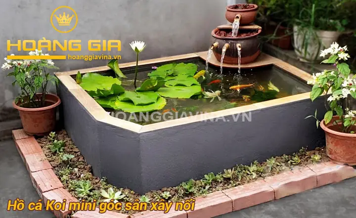 Hồ Cá Koi Mini Góc Sân: Từ A Đến Z Cẩm Nang Thiết Kế và Chăm Sóc