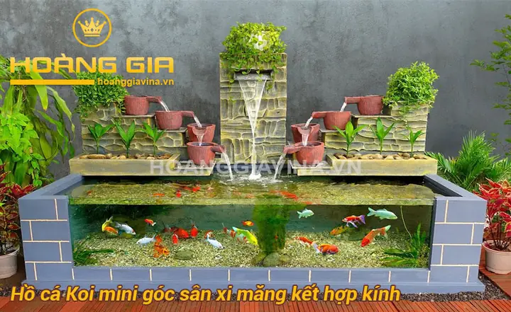 Hồ Cá Koi Mini Góc Sân: Từ A Đến Z Cẩm Nang Thiết Kế và Chăm Sóc