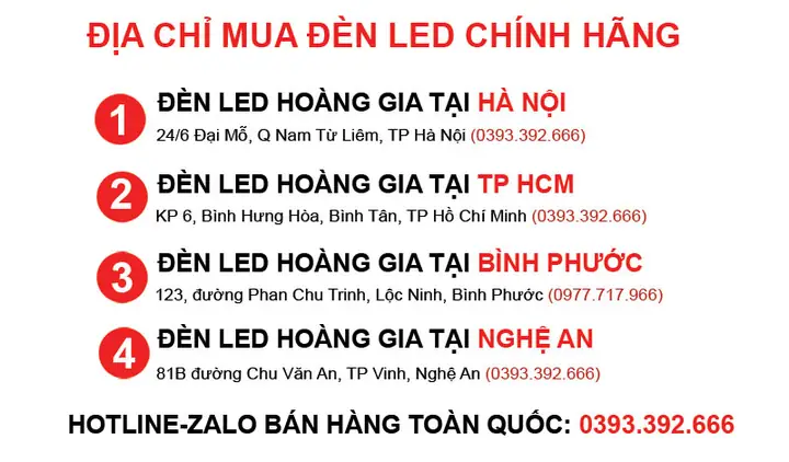 Hồ Cá Koi Mini Góc Sân: Từ A Đến Z Cẩm Nang Thiết Kế và Chăm Sóc