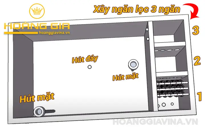 Hồ Cá Koi Mini Góc Sân: Từ A Đến Z Cẩm Nang Thiết Kế và Chăm Sóc