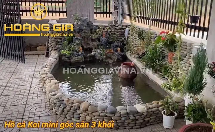 Hồ Cá Koi Mini Góc Sân: Từ A Đến Z Cẩm Nang Thiết Kế và Chăm Sóc