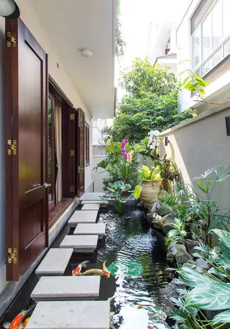 Hướng Dẫn Toàn Diện Thiết Kế Và Chăm Sóc Hồ Cá Koi Ngoài Trời Chuyên Nghiệp