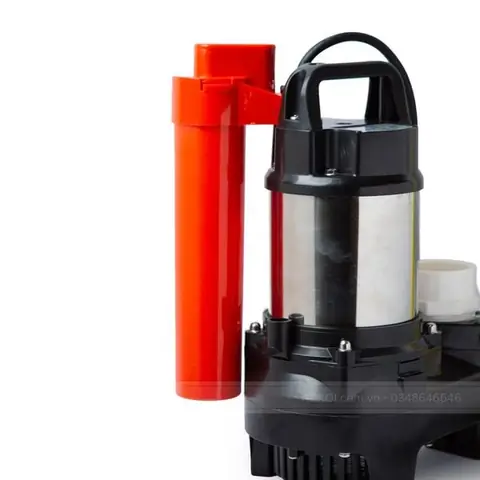 Hướng Dẫn Toàn Diện Về Hồ Cá Koi Nhật Bản: Từ Thiết Kế Đến Chăm Sóc