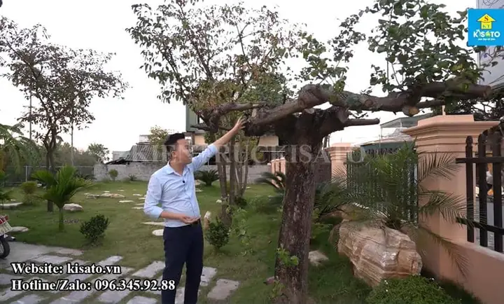 Thiết Kế Hồ Cá Koi Sân Vườn Đẹp: Hướng Dẫn Từ A Đến Z