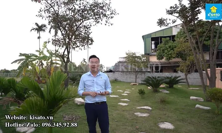 Thiết Kế Hồ Cá Koi Sân Vườn Đẹp: Hướng Dẫn Từ A Đến Z
