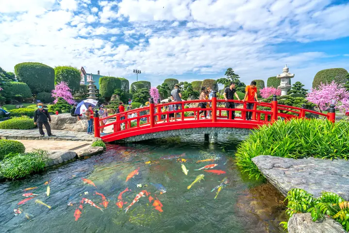 Hồ Cá Koi Trần Văn Mười: Đơn Vị Thi Công Nào Uy Tín Nên Chọn?