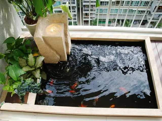 Hồ cá Koi trên sân thượng: Hướng dẫn thiết kế và chăm sóc toàn diện
