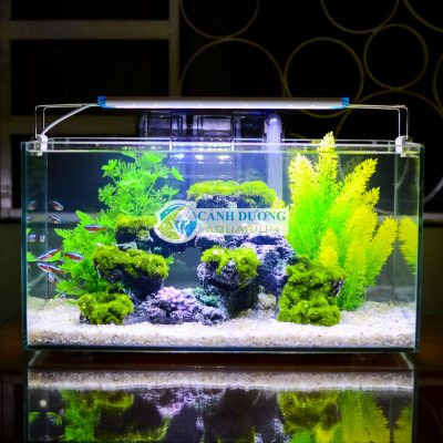 Hồ cá mini chân mica núi đá 1
