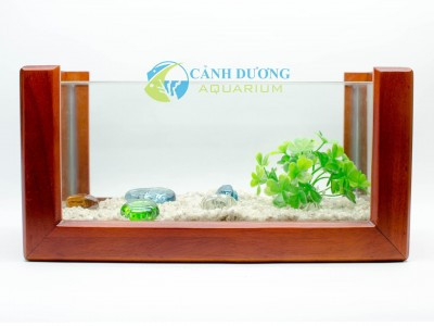 Hồ cá mini để bàn làm việc