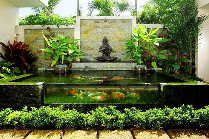 hồ cá ngoài trời đơn giản