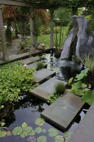 hồ cá ngoài trời đơn giản
