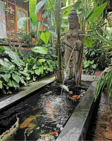hồ cá ngoài trời đơn giản