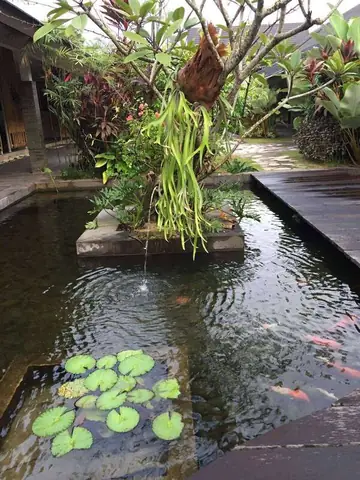 hồ cá ngoài trời đơn giản