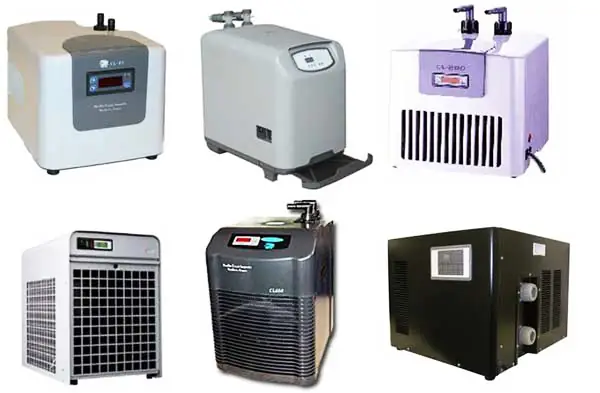 Bí Quyết Thiết Kế Và Chăm Sóc Hồ Cá Nhà Hàng Chuẩn Chuyên Gia