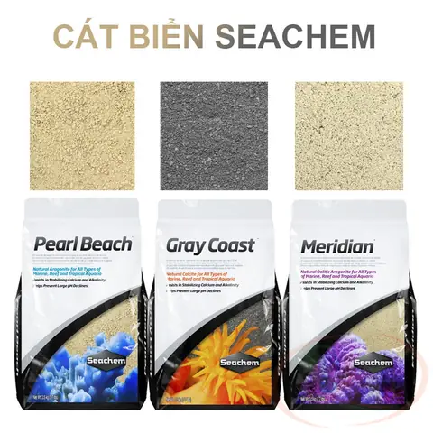 Hồ Cá Nước Mặn: Hướng Dẫn Nuôi, Chăm Sóc & Thiết Lập Chi Tiết