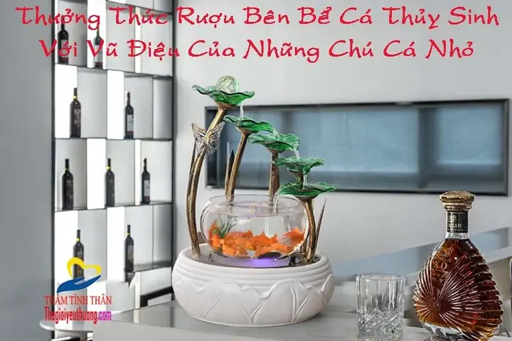 Cách chọn và bài trí hồ cá phong thủy mini hút tài lộc, bình an