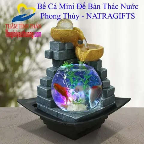 Cách chọn và bài trí hồ cá phong thủy mini hút tài lộc, bình an
