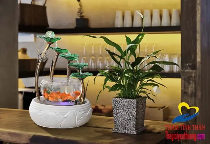 Cách chọn và bài trí hồ cá phong thủy mini hút tài lộc, bình an