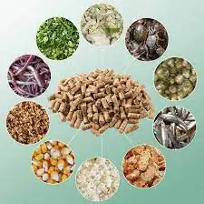 Tối ưu Hồ Cá Rồng 1m2: Hướng Dẫn Thiết Kế & Chăm Sóc Toàn Diện