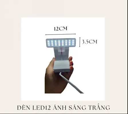 Tối ưu Hồ Cá Rồng 1m2: Hướng Dẫn Thiết Kế & Chăm Sóc Toàn Diện