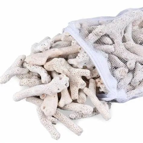 Chuyên Sâu Về Hồ Cá San Hô: Từ Thiết Lập Đến Bảo Dưỡng