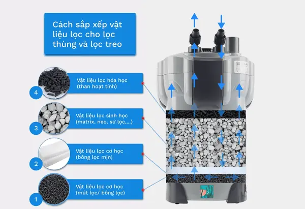 Chuyên Sâu Về Hồ Cá San Hô: Từ Thiết Lập Đến Bảo Dưỡng