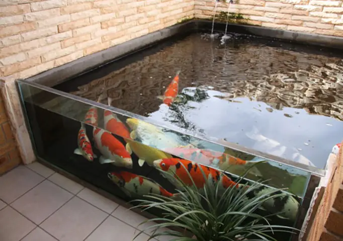 hồ cá sân vườn