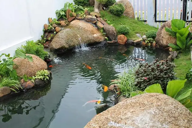 hồ cá sân vườn