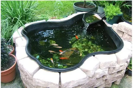 hồ cá sân vườn