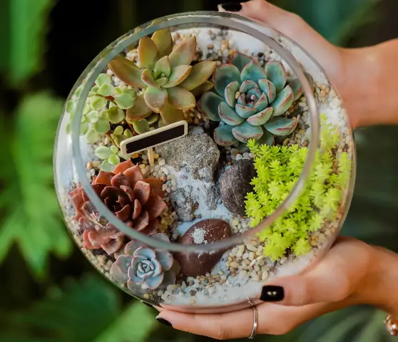 hồ cá sân vườn nhỏ đẹp