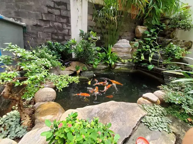 hồ cá sân vườn nhỏ đẹp