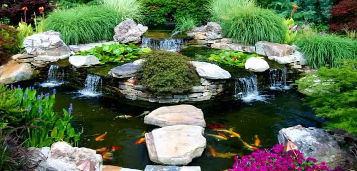 hồ cá sân vườn nhỏ đẹp