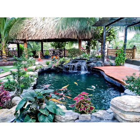 hồ cá sân vườn nhỏ đẹp
