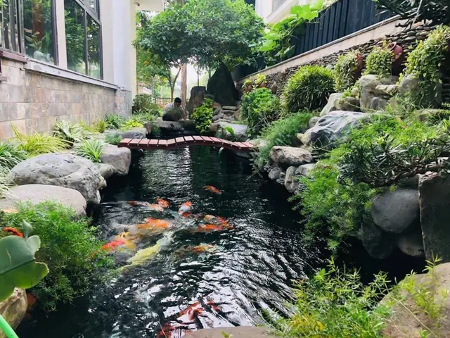hồ cá sân vườn nhỏ đẹp